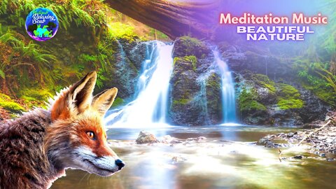 Relaxing music, beautiful nature: Música relaxante, Meditation Music, Spa Music, Sleep