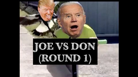 Joe Biden vs Donald Trump (ROUND 1)