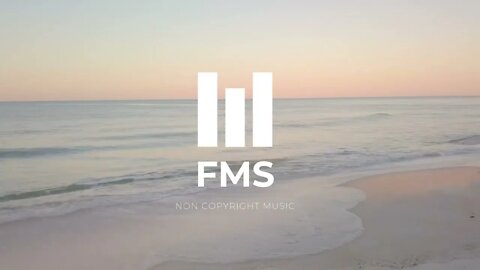 FMS - Free Non Copyright EDM Music #046