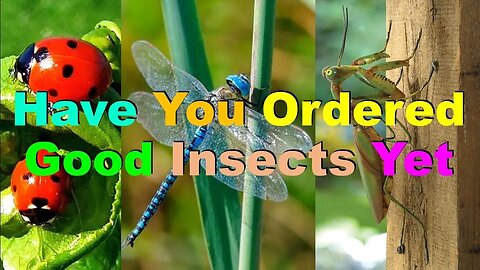 No. 620 – Have You Ordered Good Insects Yet