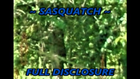 World Bigfoot Radio #117: SASQUATCH ~ FULL DISCLOSURE