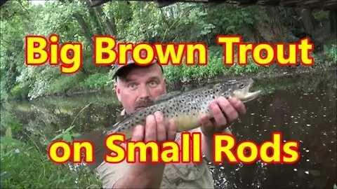 Catching Trout With Micro Fishing Rods