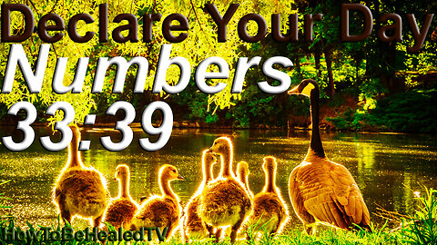 Numbers 33:39 - Long Life Scriptures - Declare Your Day