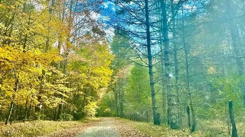 An Enticing Autumn Gravel Holler Hidden in Appalachia