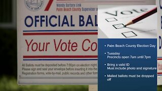 19 different cities and towns holding municipal elections in Palm Beach County
