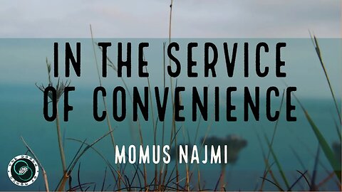 In the Service of Convenience | Momus Najmi