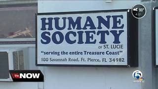 St. Lucie County to do month-to-month contract with Humane Society