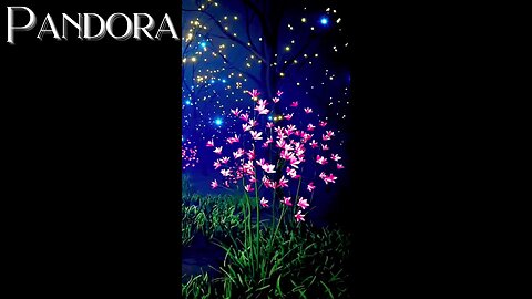PANDORA, ENCHANTED FOREST, FANTASY FOREST MUSIC, ASMR #enchantedforestmusic #enchantedforest #fantasymusic