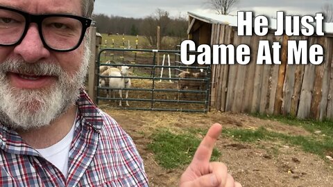 He Came At Me | Lesson LEARNED | Big Family Homestead