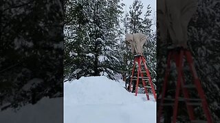 The best video I’ve ever created Viral snow Jump