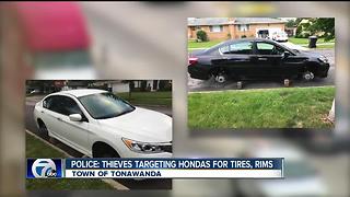 Police: thieves targeting Hondas in Town of Tonawanda