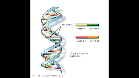 Biotechnology, Genetically Engineered Pathogens