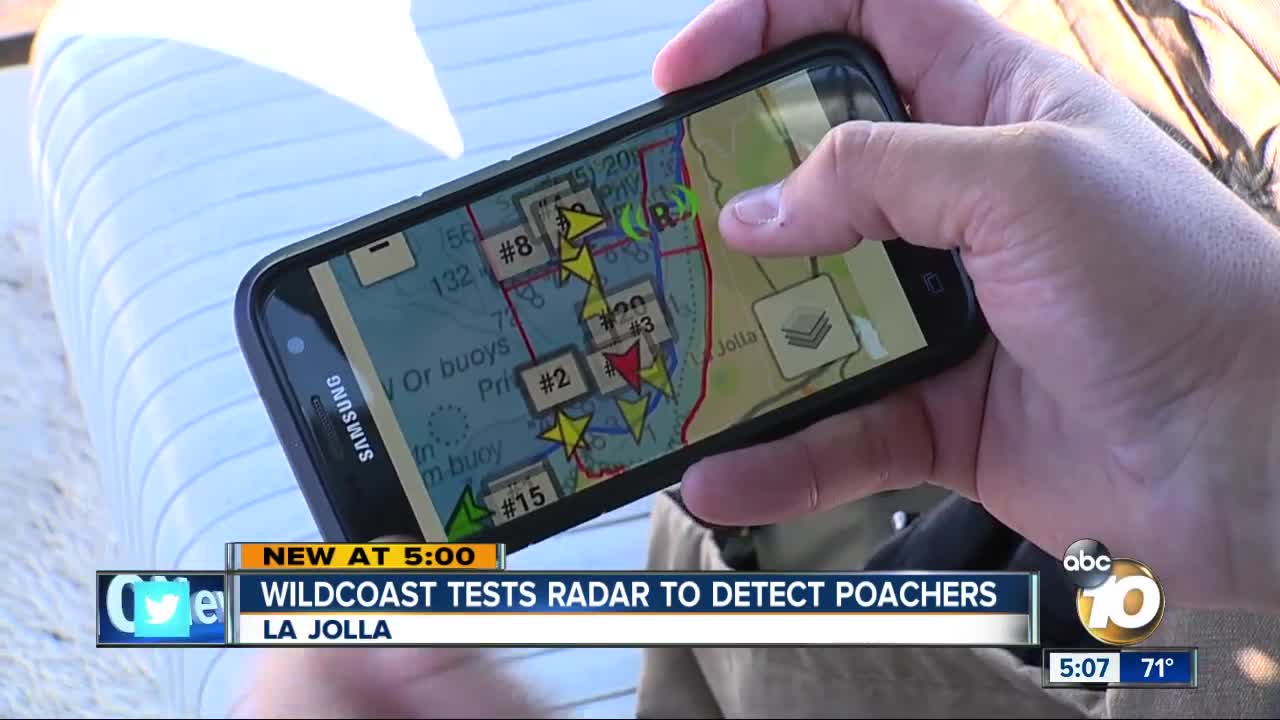 Radar may help spot poachers