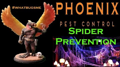 Spider Prevention #whatbugsme | Phoenix Pest Control TN