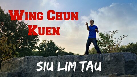 Siu Lim Tao - 小念頭 - Wing Chun At Montreal’s Beaver Lake