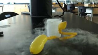 O efeito impressionante de nitrogênio líquido em um balão