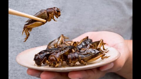 EATING INSECTS FOR PROTEIN IS BEING PUSHED BUT IT'S NOT NEEDED