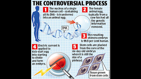 Congress Admits It Is Legal to Create Human Animal Chimeras