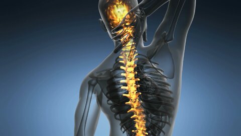 backbone backache science anatomy scan of human spine bones glowing 3D animation