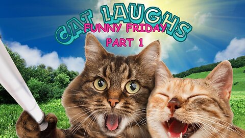 Cat Laughs Funny Friday Part 1😂😍
