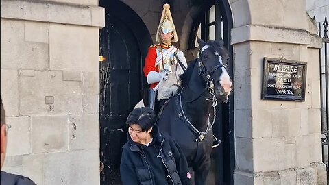 Horse sneezes in the tourist's face #horseguardsparade