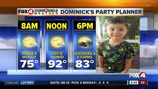 Dominick's party planner