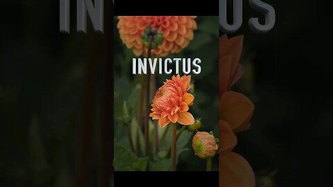 Poema "Invictus" [W.E.Henley] #shorts #poesia #poema