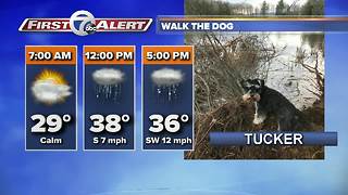 Walk the Dog Forecast