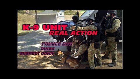 K-9 REAL ACTION - Police Dog Takes Suspect Down