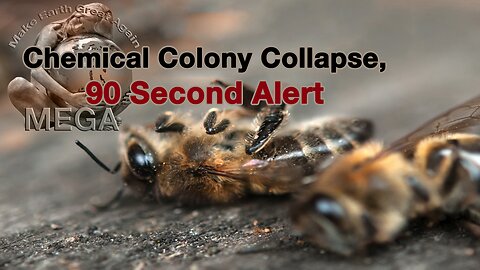 Chemical Colony Collapse -- 90 Second Alert -- "Air pollution is changing the way flowers smell, leaving pollinators lost and the ecosystem in peril." Are we next?