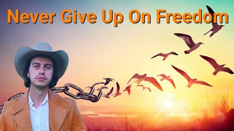 Steve Franssen || Never Give Up On Freedom