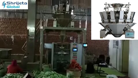 10 Head Multihead Jeera Packaging Machine - Whole Spices Pouch Packing Machine - Shrijeta Global