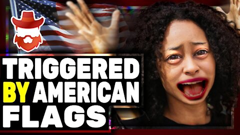 Reporter TRIGGERED By American Flag Gets DEMOLISHED On Twitter