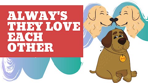 Always Dog Love Each Other | Funny Video | #funnydog #cutedogs #dogvideos