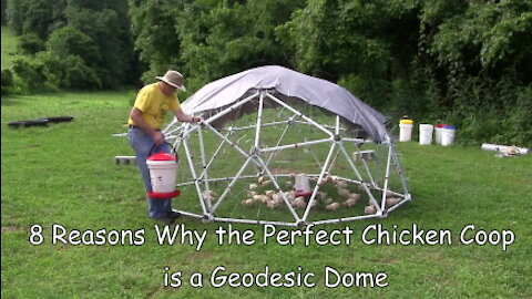 The Best Chicken Coop is a Geodesic Dome (8 Reasons)