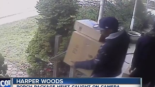 Men caught on video stealing packages from porches in Harper Woods