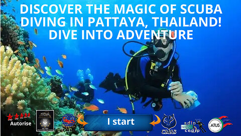 Discover the Magic of Scuba #Diving in Pattaya, Thailand! Dive into Adventure