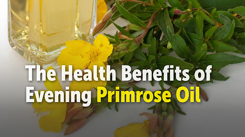 The Health Benefits of Evening Primrose Oil