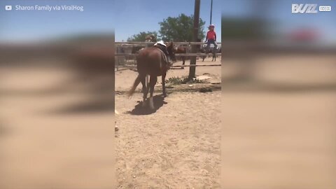 Ce petit cowboy s'endort sur son cheval