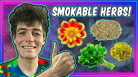 𝗠𝗼𝗿𝗲 𝗟𝗲𝗴𝗮𝗹 𝗛𝗲𝗿𝗯𝘀 𝗳𝗼𝗿 𝗦𝗺𝗼𝗸𝗶𝗻𝗴! 🍃 Cannabis Alternatives & Herbal Remedies!
