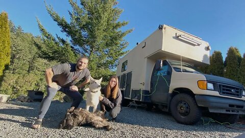 Family VANLIFE with DOGS / WE LEFT!!