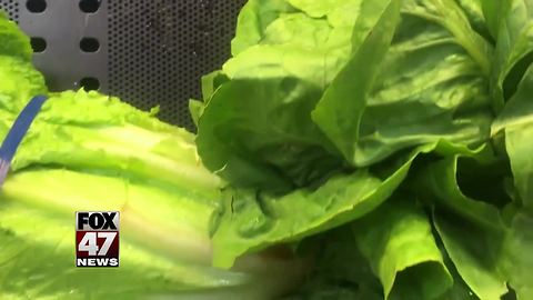 1st death reported in romaine lettuce E. coli outbreak