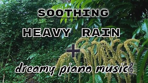 1H soothing steady rain and jungle sound for studying with dreamy piano music