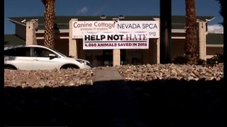 Nevada SPCA under investigation by Nevada Attorney General