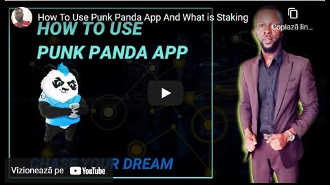 How To Use Punk Panda App And What is Staking