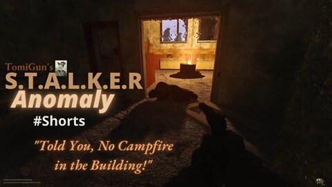 Told You, No Campfire in the Building! - S.T.A.L.K.E.R Anomaly Short Scene