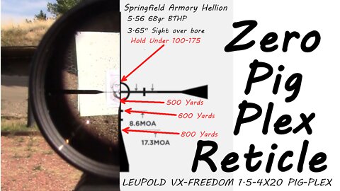 Maximum Point Blank Range Hellion and Leupold Pig-Plex Zero