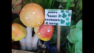 Teelie's Fairy Garden | St. Patrick's Day Digital Downloadable Miniature Signs | Etsy Products