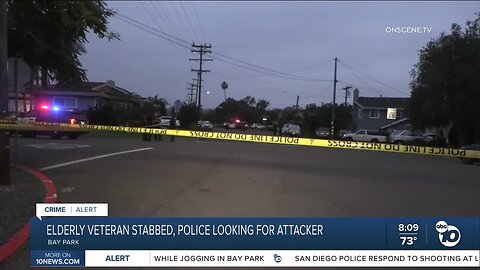 Elderly veteran stabbed while jogging in Bay Park