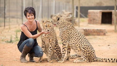 Big Cats Are ‘Beast Buddies’ Of This Petite Woman